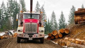 WHAT TO CONSIDER BEFORE OUTSOURCING HEAVY HAULING