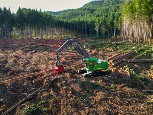 Celebrating National Loggers Day with  Papé Machinery