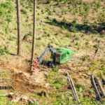 Peak Fire Season: Forestry Fire Mitigation Tips