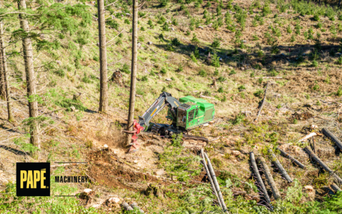 Peak Fire Season: Forestry Fire Mitigation Tips