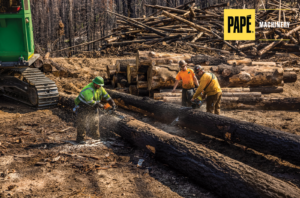 Forestry Clean-Up: How to Turn Wood Waste Into a Valuable Resource