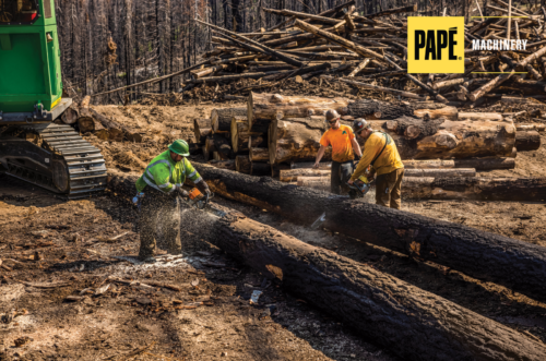 Forestry Clean-Up: How to Turn Wood Waste Into a Valuable Resource